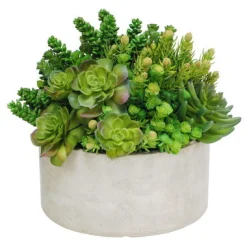 Succulent Tall Garden Planter 14"