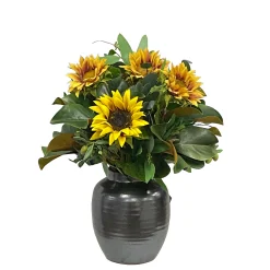 Sunflower in Crete Pot 22"