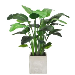 TRAVELERS PALM PLANTER 3.5'