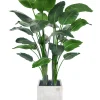 Travelers Palm Potted Tree 6'