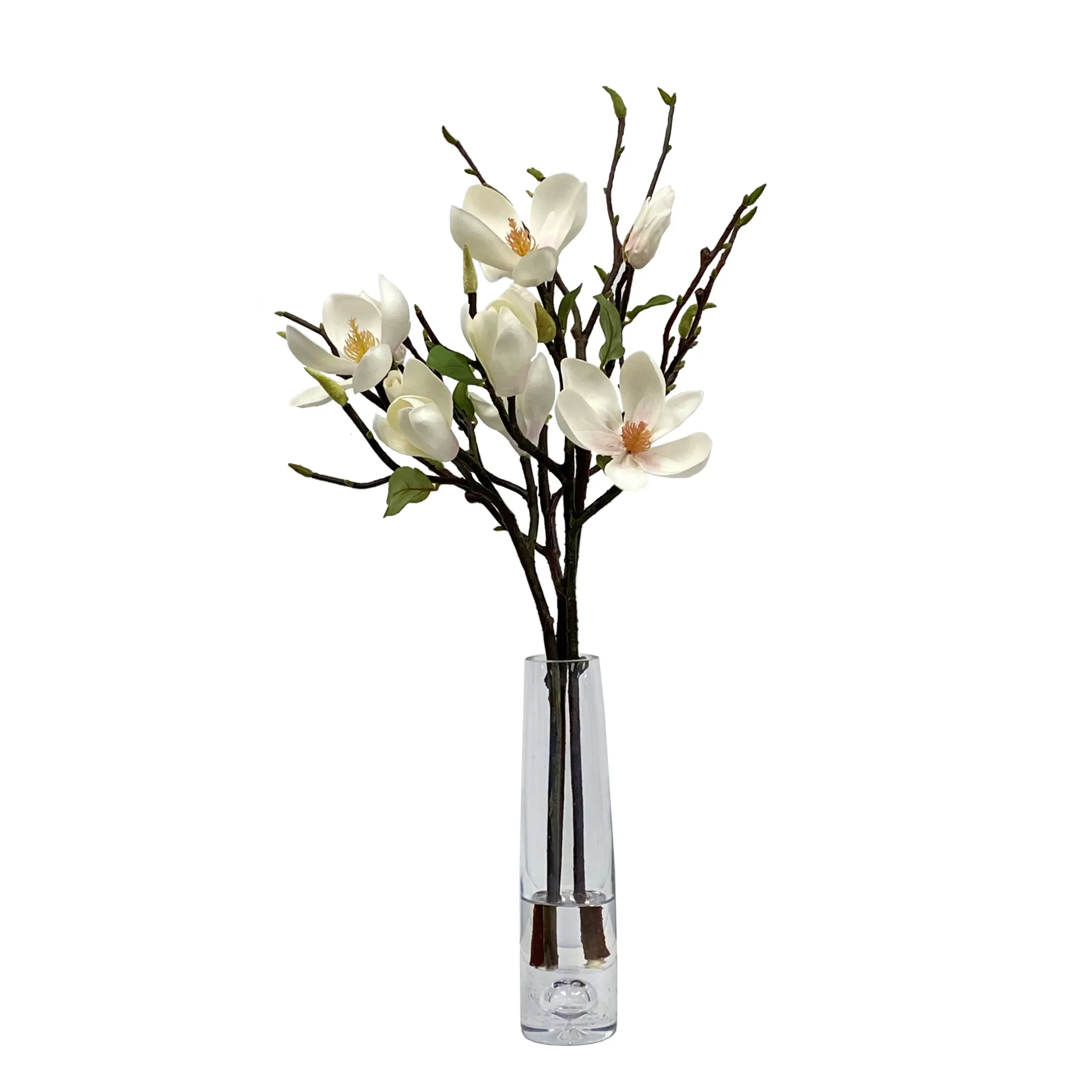 Tree Magnolia in Vase 25"