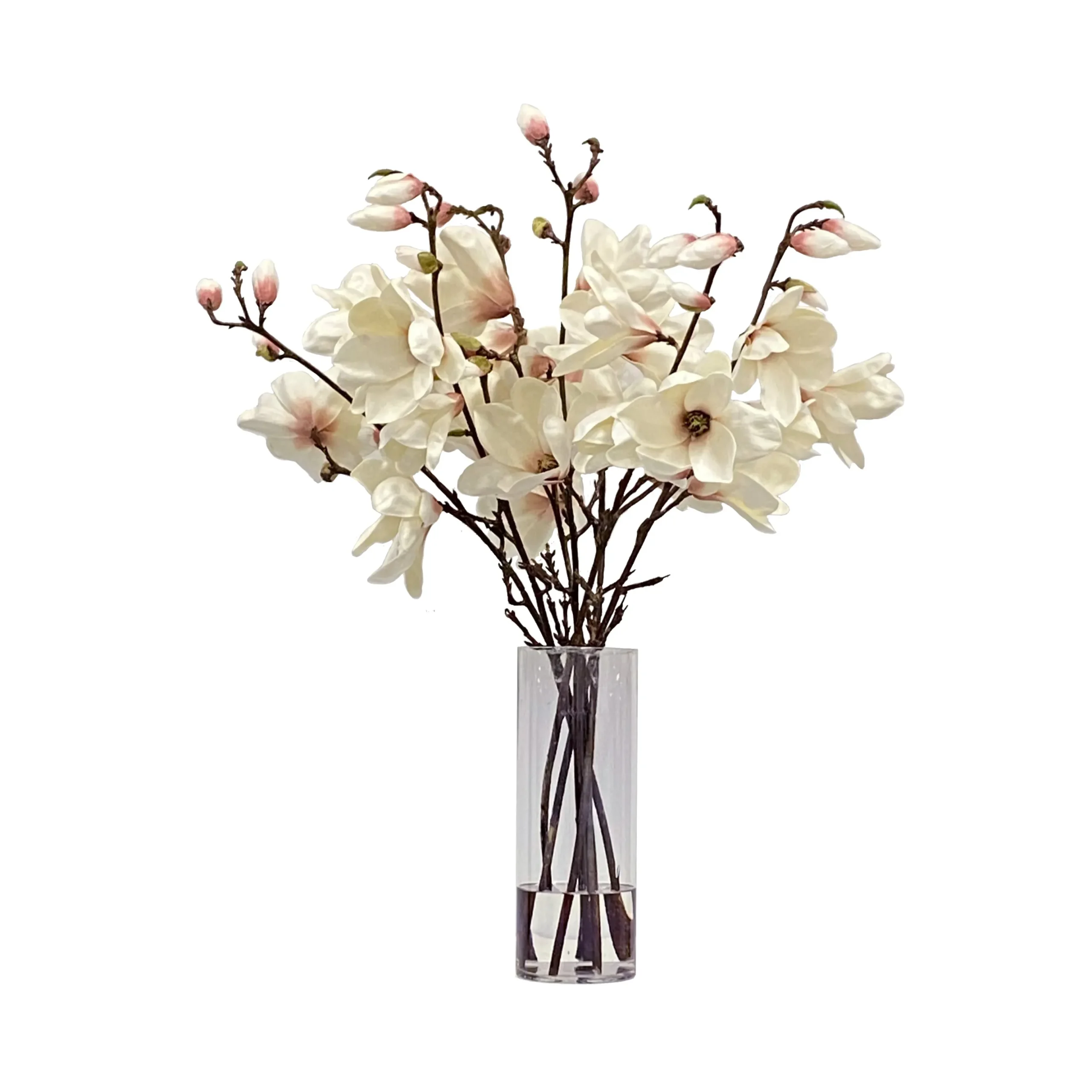 Tree Magnolia in Vase 34