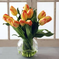 TULIP BUBBLE BOWL (WHD049-YLOR)