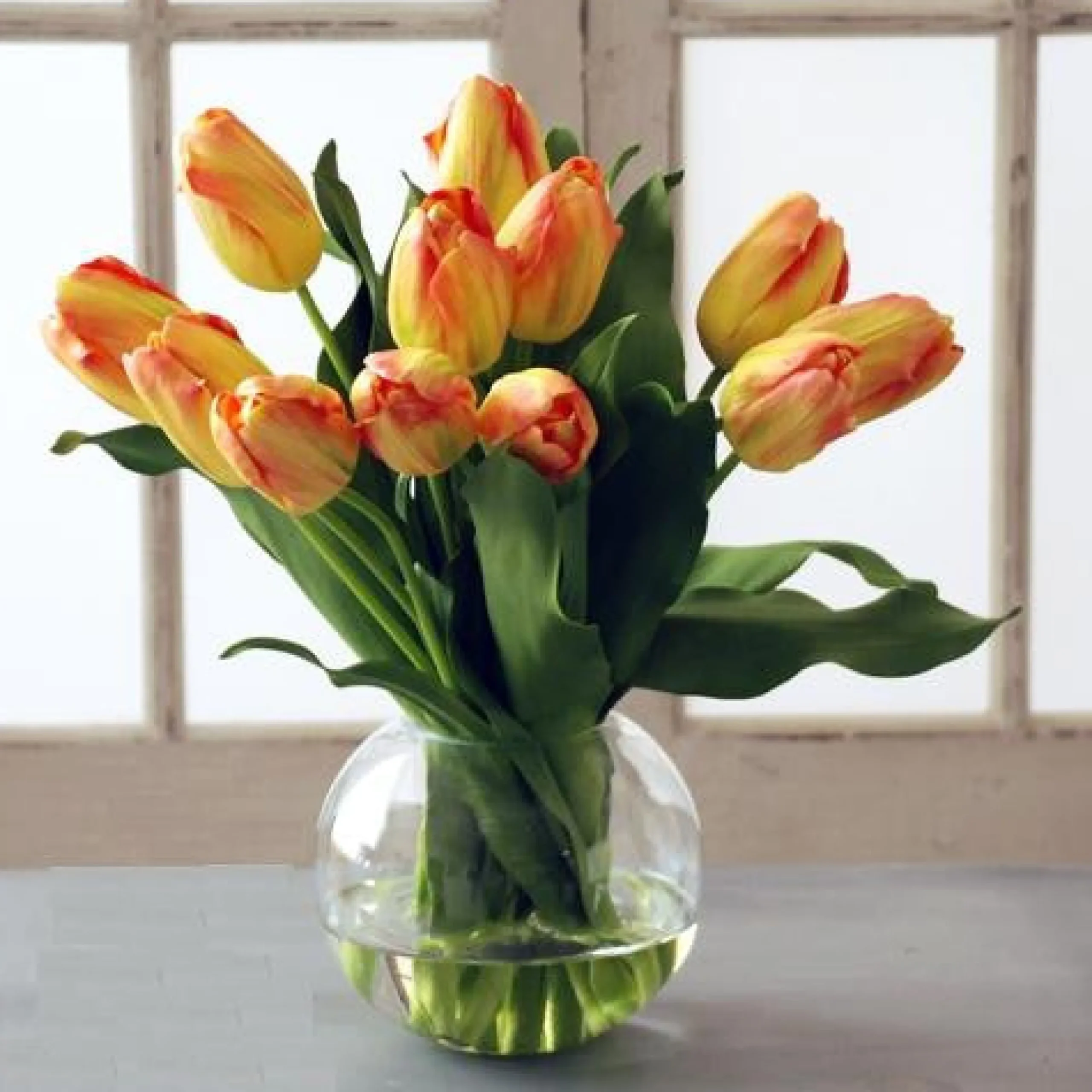 TULIP BUBBLE BOWL (WHD049-YLOR)