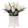 Tulip in Canister Vase 13"
