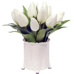 Tulip in Canister Vase 13"