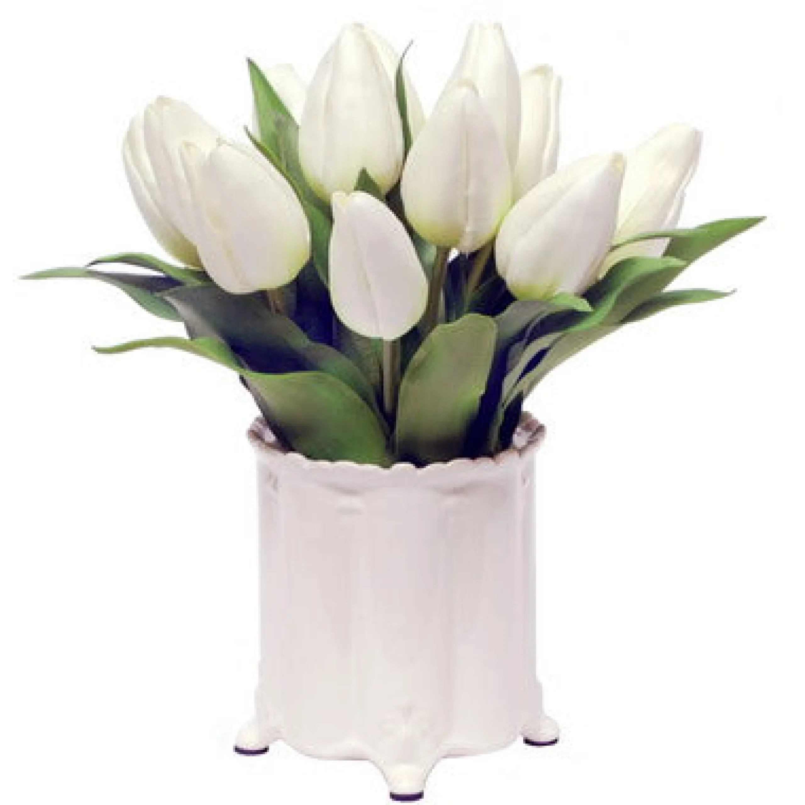 Tulip in Canister Vase 13"