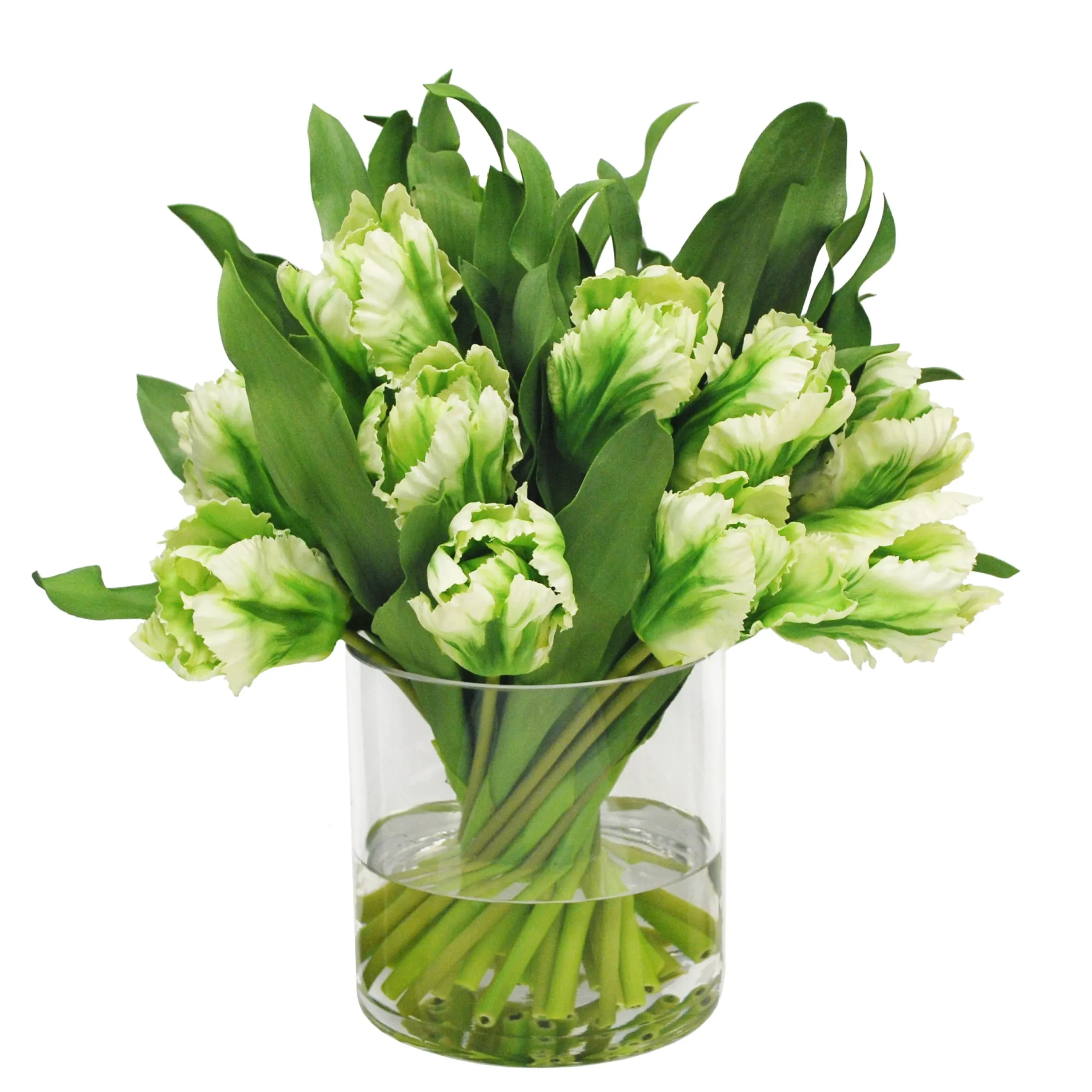 Tulip in Cylinder Vase 15"