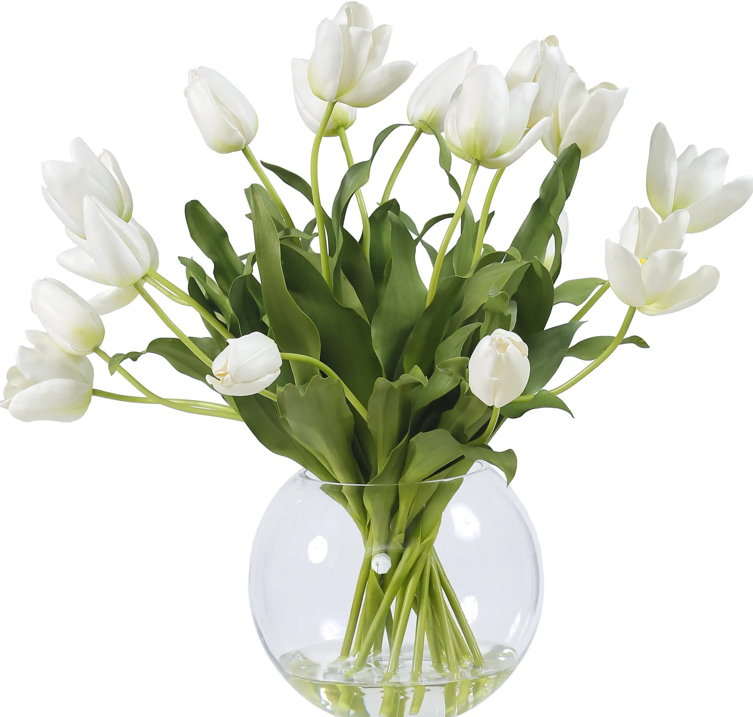 Tulips in Glass 22"