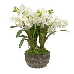 VANDA ORCHID IN BOWL 18"