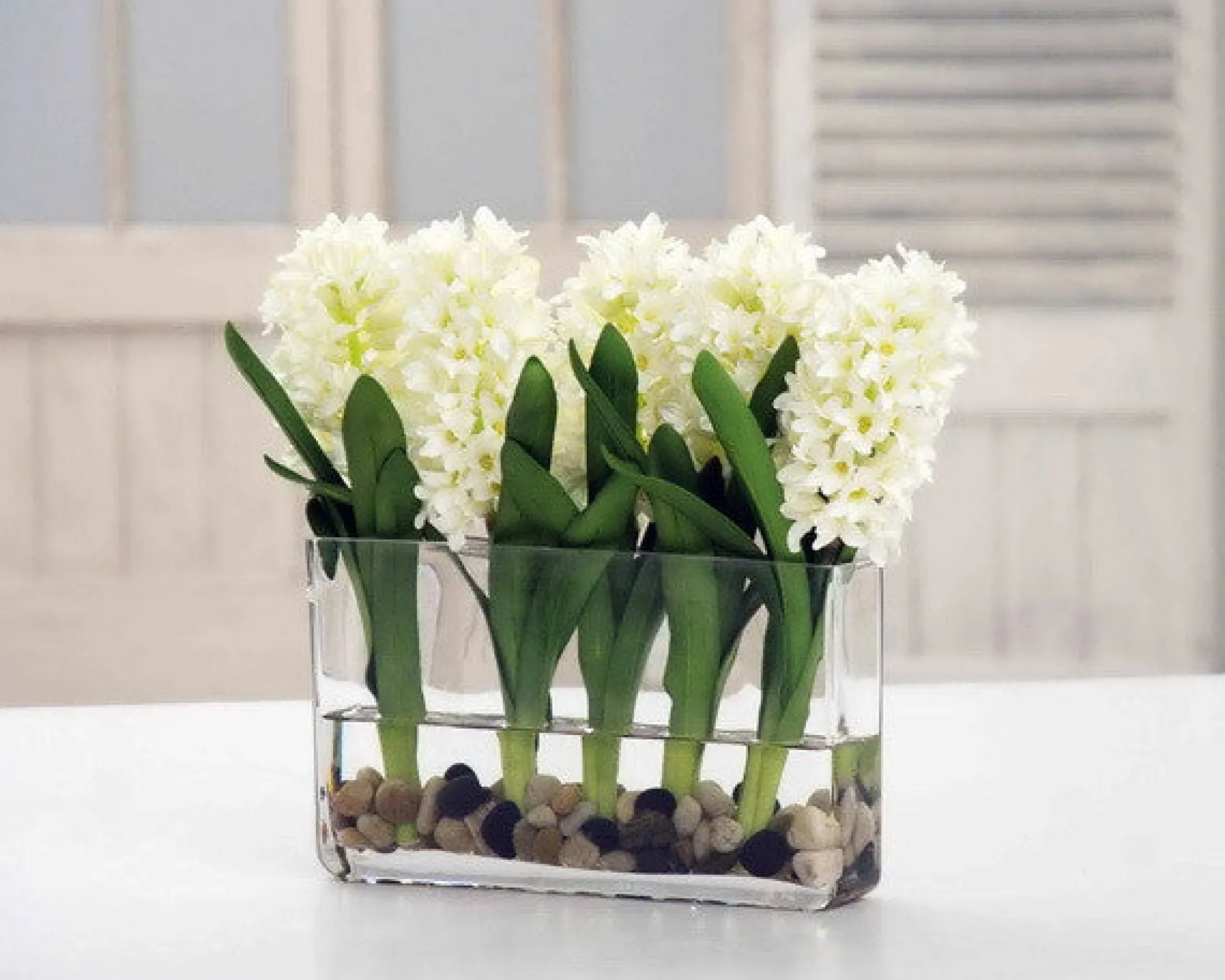 WHITE HYACINTH RECTANGLE (DP765-WH)