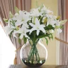 WHITE LILY CASABLANCA CENTERPICE (DP745-WW)