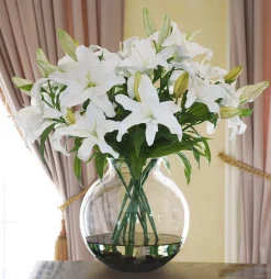 WHITE LILY CASABLANCA CENTERPICE (DP745-WW)
